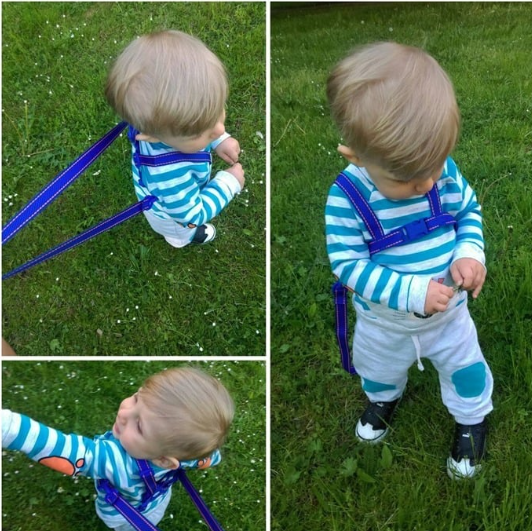 Babyono Ζώνη ασφαλείας με ιμάντα First Steps