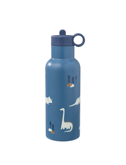 Fresk Ανοξείδωτοι Θερμοί Ροφήματος 500ml - Dino